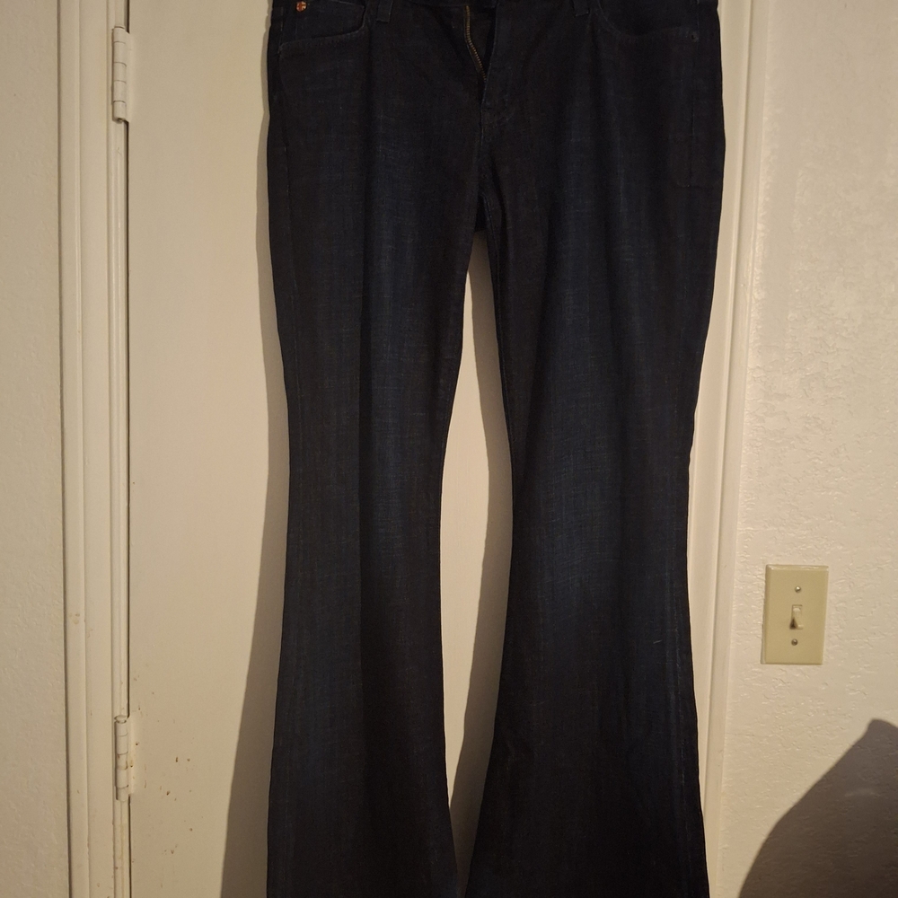 Hudson Jeans Midnight Flare